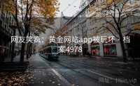 网友笑疯：黄金网站app被玩坏 · 档案4978