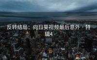 反转结局：向日葵视频最后意外 · 特辑4
