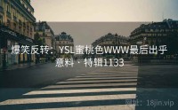 爆笑反转：YSL蜜桃色WWW最后出乎意料 · 特辑1133