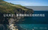 公众关注：草莓视频丝瓜视频的背后
