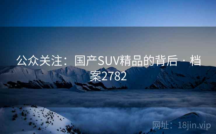 公众关注：国产SUV精品的背后 · 档案2782