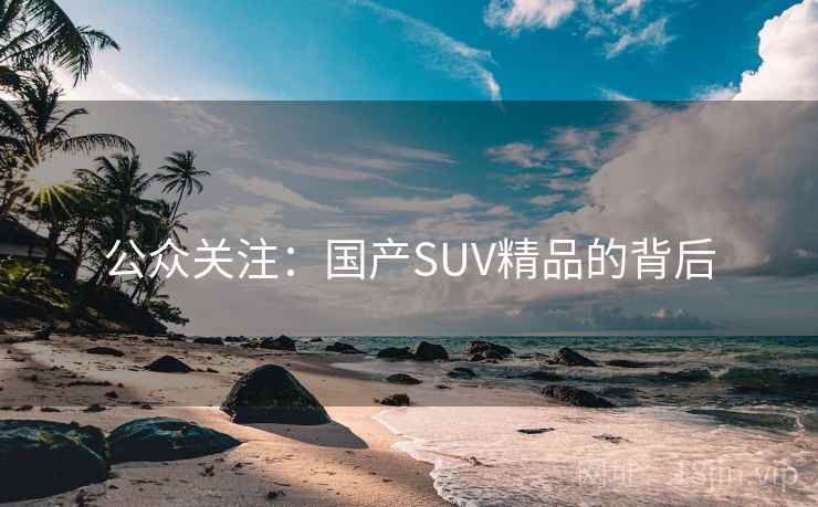 公众关注:国产SUV精品的背后 公众关注:国产SUV精品的背后